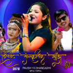 धनगढीमा पुष १५  गते डिलाईट सास्कृतिक साझ २०७८ कार्यक्रम हुदै